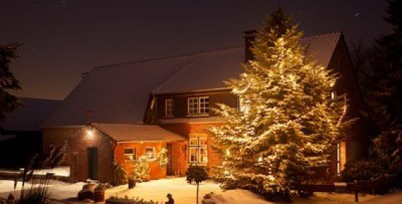 1667908949_photodune-20943037-winter-house-with-tall-christmas-tree-at-night-xxl